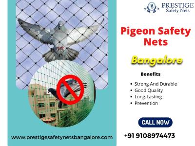 Ensure Pigeon Safety with Reliable Nets in Bangalore - Bangalore Other