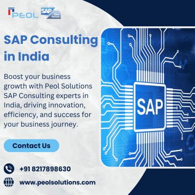 SAP Consulting in India - Bangalore Other