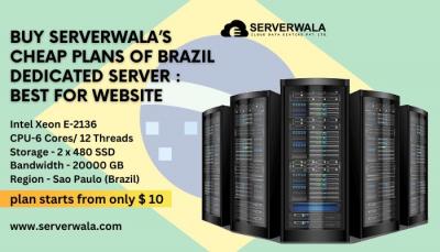 Buy Serverwala’s Cheap Plans of Brazil Dedicated Server : Best for Website - Rio de Janeiro Hosting