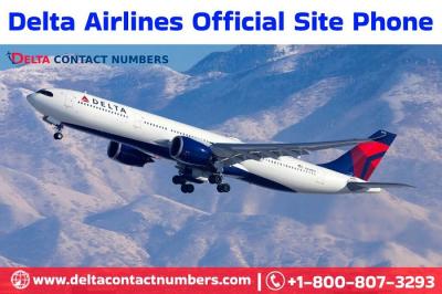 Delta Airlines Official Site Phone  - Chicago Other