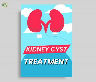 Homeopathic Treatment for Kidney Failure - Gurgaon Health, Personal Trainer