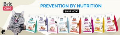 Cats Mart’s Healthy Cat Food in Singapore