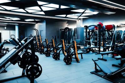 Zoo Culture Gym & Spa - Chandigarh Health, Personal Trainer