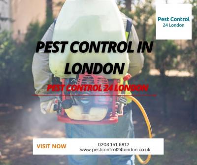We provide service expert pest control in London at Pest Control 24 London.