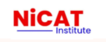 Digital Marketing Institute in Lucknow | Digital Marketing Training Lucknow - Nicat Institute