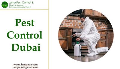 pest control company Dubai