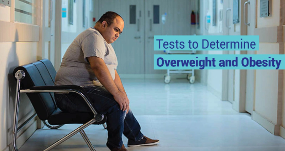 What blood test for Overweight and Obesity - Manipal TRUtest