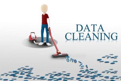 Choose Data Plus Value for Unparalleled Data Cleansing Solutions