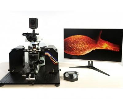 DSS Image - Explore the Alpha3 Light Sheet Microscope for High-Resolution Imaging - Delhi Other