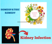 Homeopathic medicine for high Creatinine - Gurgaon Health, Personal Trainer