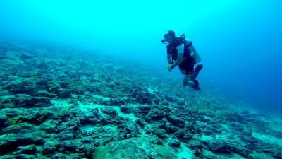Top Scuba Diving Locations in Andaman For You - Delhi Other