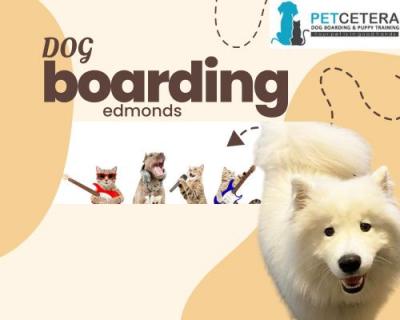 Petcetera Dog - Premier Dog Boarding Edmonds Services!