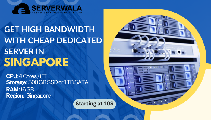 Get High Bandwidth with Cheap Dedicated Server in Singapore - Serverwala - Mumbai Hosting