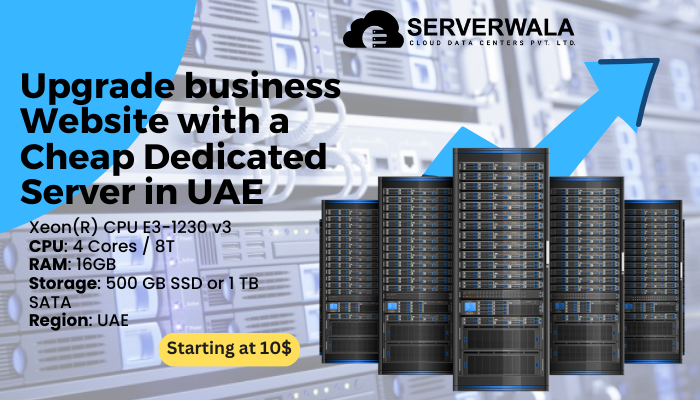 Upgrade business Website with a Cheap Dedicated Server in UAE - Serverwala - Mumbai Hosting