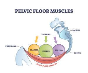 Key Services Offered by AleaqmCure for Pelvic Pain Treatment