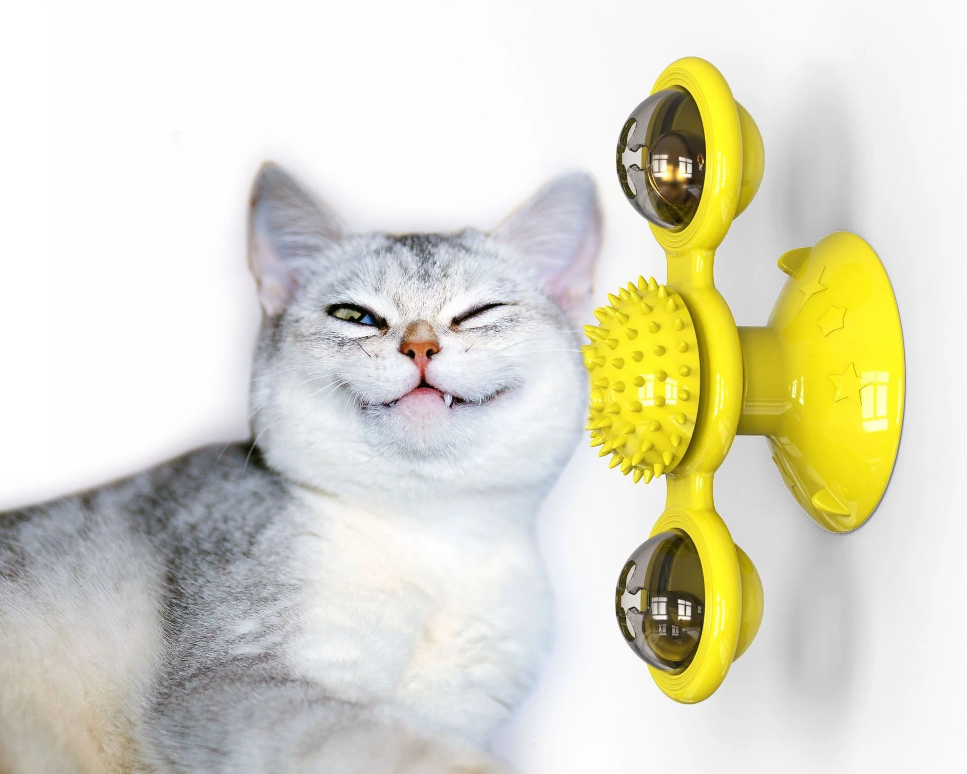 Interactive Windmill Cat Toy - Dublin Cats, Kittens