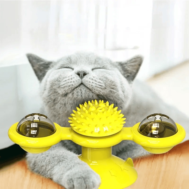 Interactive Windmill Cat Toy - Dublin Cats, Kittens