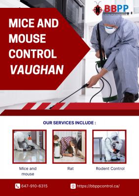 Mice and Rat control Richmond Hill – BBPP Pest Control  - Other Other