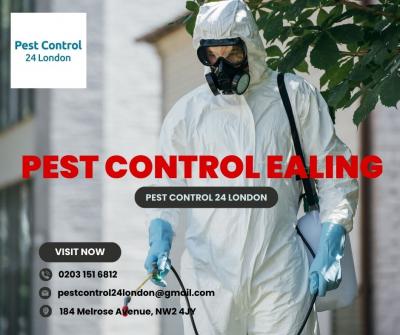 You can rely on Pest Control 24 London for expert pest control services in Ealing