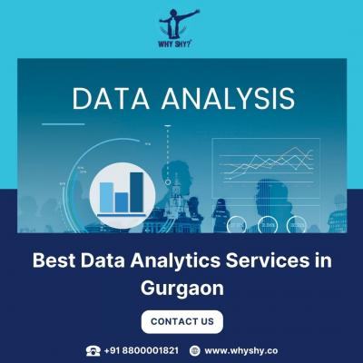 Best Data Analytics Services in Gurgaon - Why Shy - Gurgaon Other