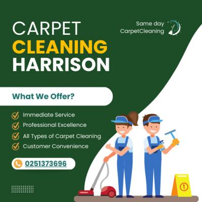 Refresh Your Carpets in a Flash! Same-Day Carpet Cleaning Harrison