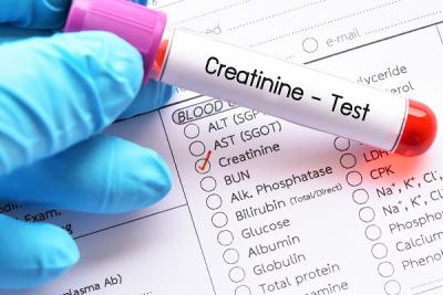 Creatinine Tests for Healthy Kidneys | Max Lab