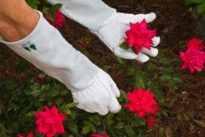 GreenThumb Precision Gardening Gloves - New York Other