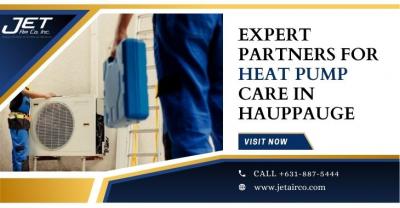 Expert Partners For Heat Pump Care In Hauppauge