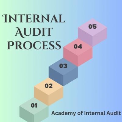 Learn Internal Audit Process From AIA - Delhi Professional Services