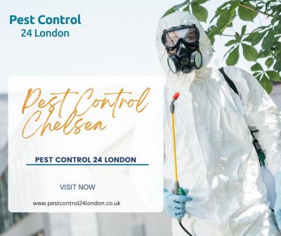 Pest Control 24 London - Cost-Effective Pest Control Solutions in Chelsea - London Other