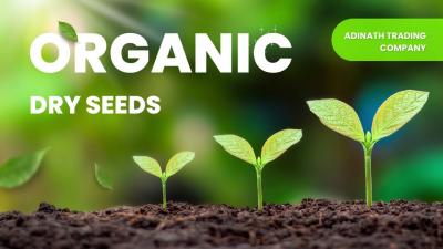 Buy 100% Organic And Chemical Free Seeds At Wholesale Prices - Adinath Trading Co.