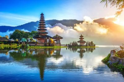 Top Tips for Planning the Perfect Trip to Bali - San Diego Professional Services