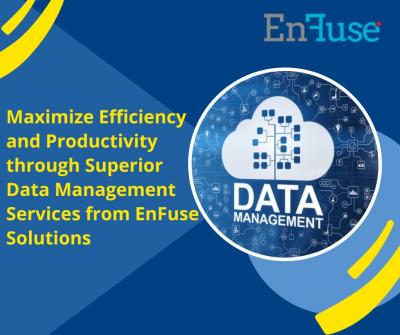 Maximize Efficiency and Productivity through Superior Data Management Services from EnFuse Solutions