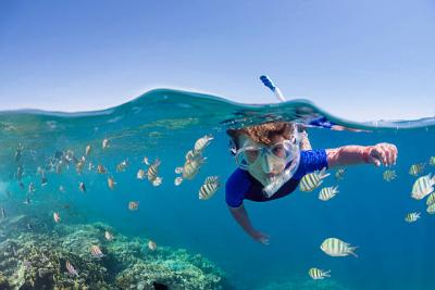 Try Snorkeling to explore vibrant marine life in Andaman - Mumbai Other