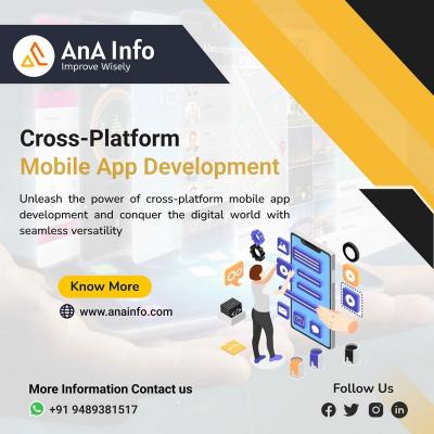 Pre-eminent Software Company in UAE - AnA Info