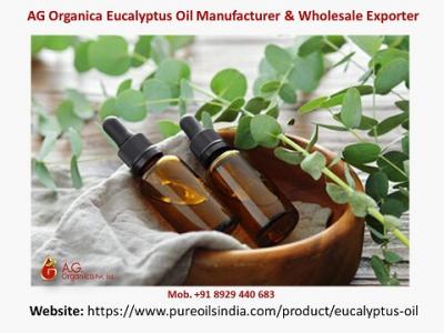 AG Organica Eucalyptus Oil Manufacturer & Wholesale Exporter