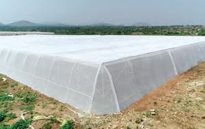 Choosing the right skirting fabric for your greenhouse is crucial for temperature control, light tra