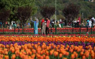 Exclusive Deals on Kashmir Tulip Festival Tour Packages - Book Now! - Kolkata Other