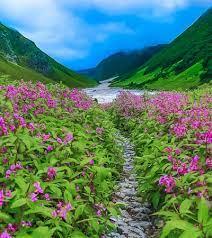 Valley of Flowers Packages From Delhi  - Other Other