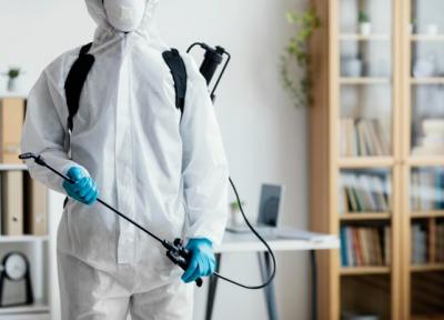 Effective Bed Bug Control Service in Singapore