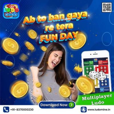 Looking for a fun activity then download ludo game