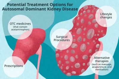 Treatment For kidney Disease | Karma Ayurveda