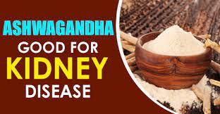 Treatment For kidney Disease | Karma Ayurveda - Delhi Health, Personal Trainer