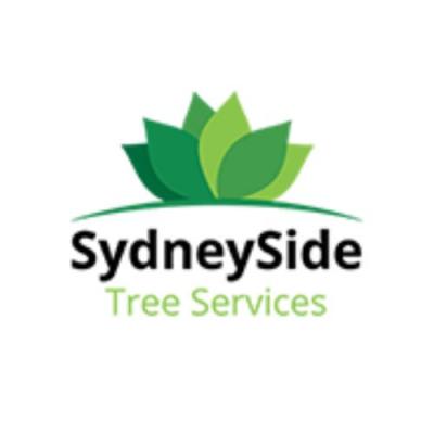 Tree Pruning Sydney: SydneySide Tree Services - Expert Tree Pruning Services in Sydney