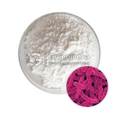 Bulk Lactobacillus Salivarius Powder - Other Other