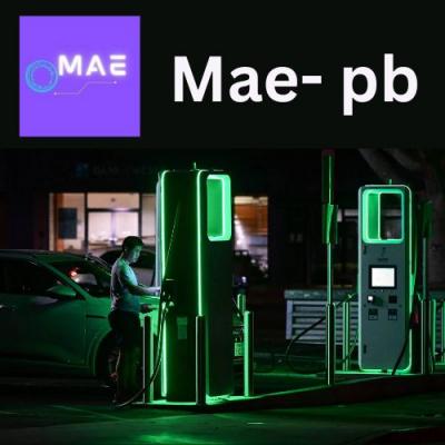 Paving the Way: Electric vehicle charging network Flint