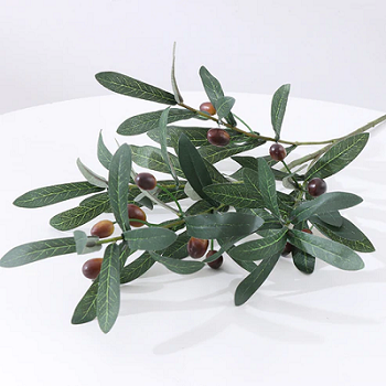 Olive Artificial Branches in UAE - Abu Dhabi Other