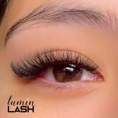 Top Houston Lash Extension Classes - Houston Other