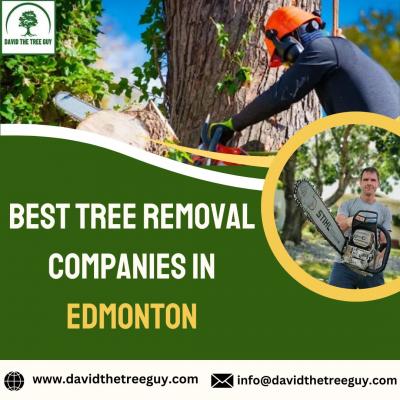 Best Tree Removal Companies in Edmonton - Edmonton Other