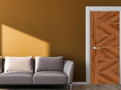 Ply Door - Delhi Interior Designing